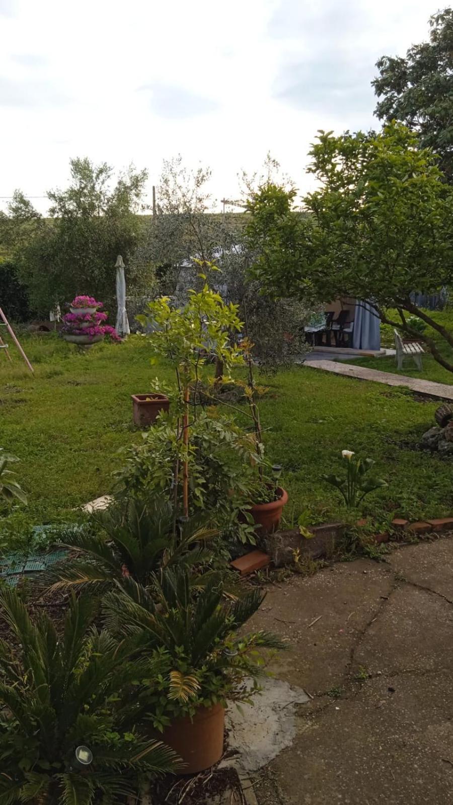 Casina Maria Leilighet Roma Eksteriør bilde
